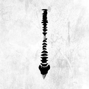 不二子赤身跳钢管舞免费观看
