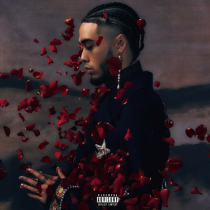 不二子赤身跳钢管舞免费观看
